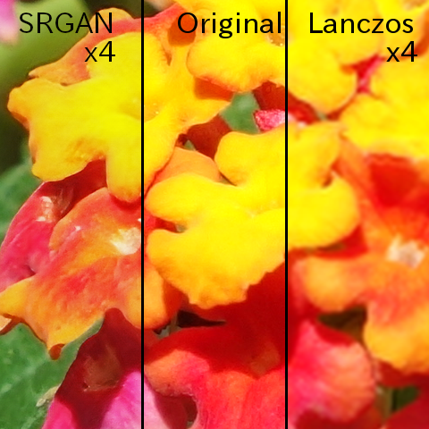 ランタナの花の写真の4倍拡大画質比較画像。 黒の実線で縦に3分割されている。 左がSRGAN x4、中央がOriginal、右がLanczos x4と文字が入っている。