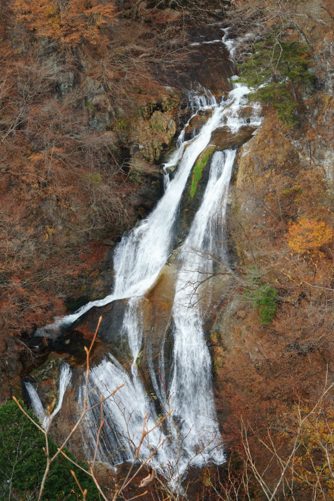 落葉後の木々の間に見える、霧降ノ滝を撮影した写真。 奥から手前に向かって山の斜面を幾筋かの滝が流れている様子。